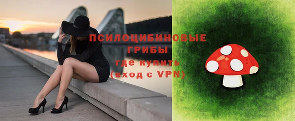 соль ск Абаза