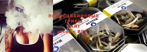 соль ск Абаза