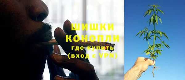 ГАЛЛЮЦИНОГЕННЫЕ ГРИБЫ Абинск